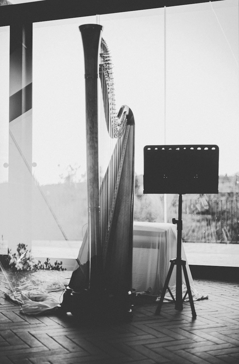 a large harp sitting on top of a wooden floor